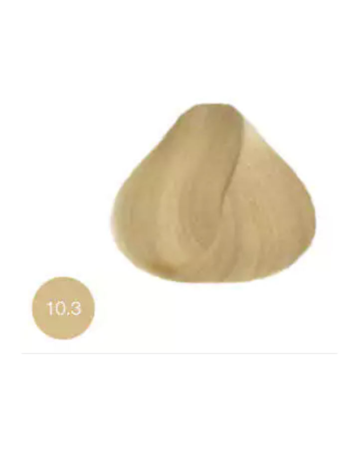 Tinte Xiomara 300 | Xioamara