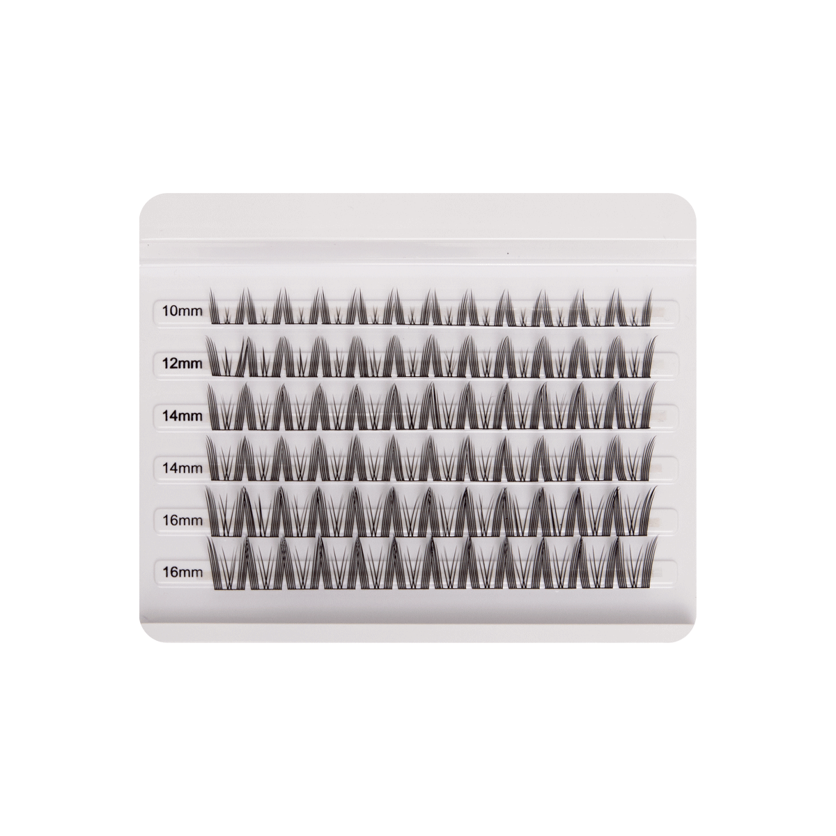 Cluster Collection | True Lashes