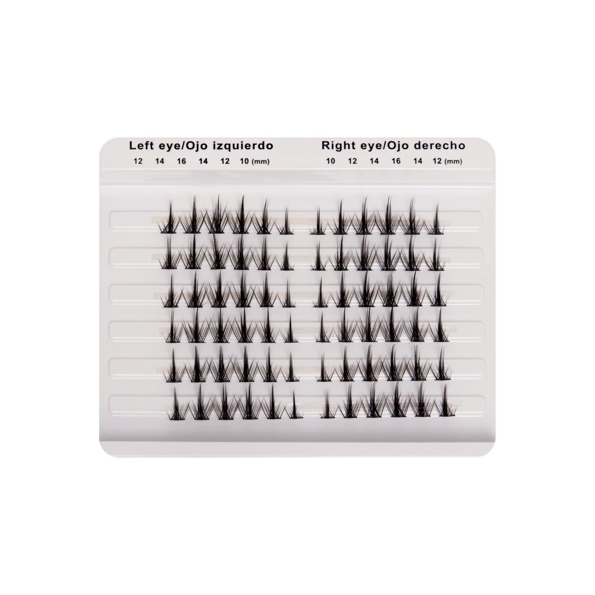 Cluster Collection | True Lashes