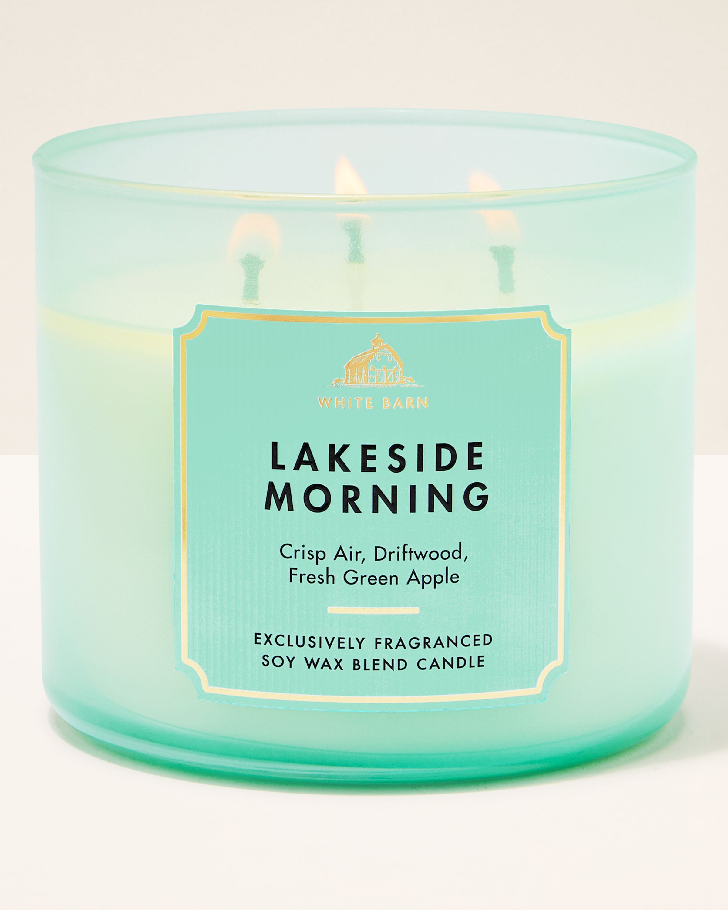 Velas de 3 Mechas - 3-Wick Candle - Bath & Body Works