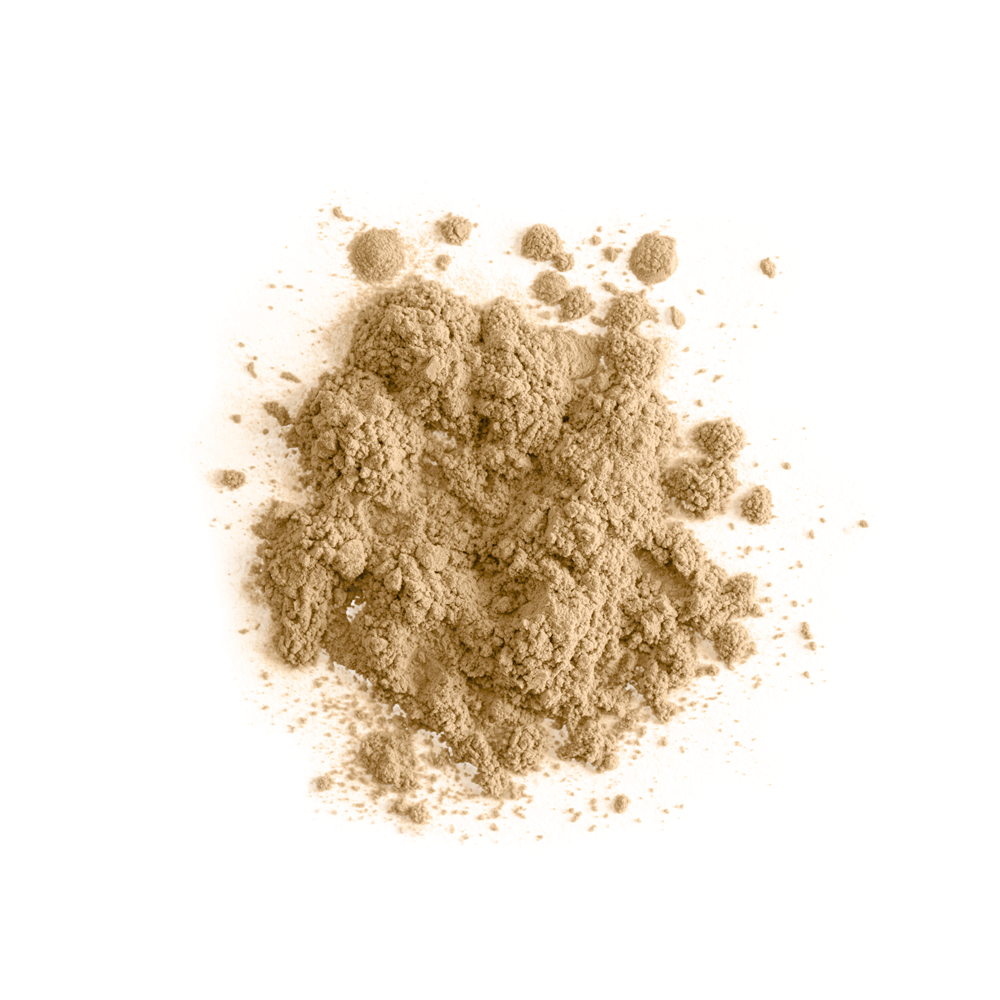 POLVO TRASLUCIDO | BISSU