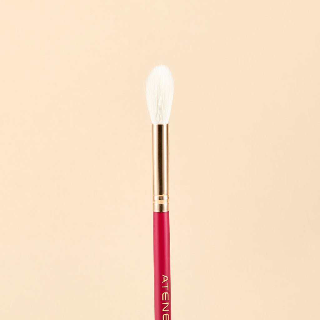 KIT DE BROCHAS SCARLET ROSTRO X9 PCS | ATENEA