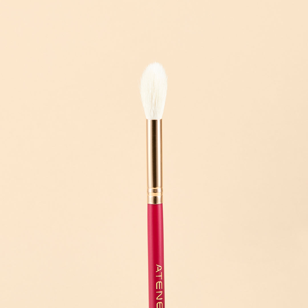 KIT DE BROCHAS SCARLET ROSTRO X9 PCS | ATENEA