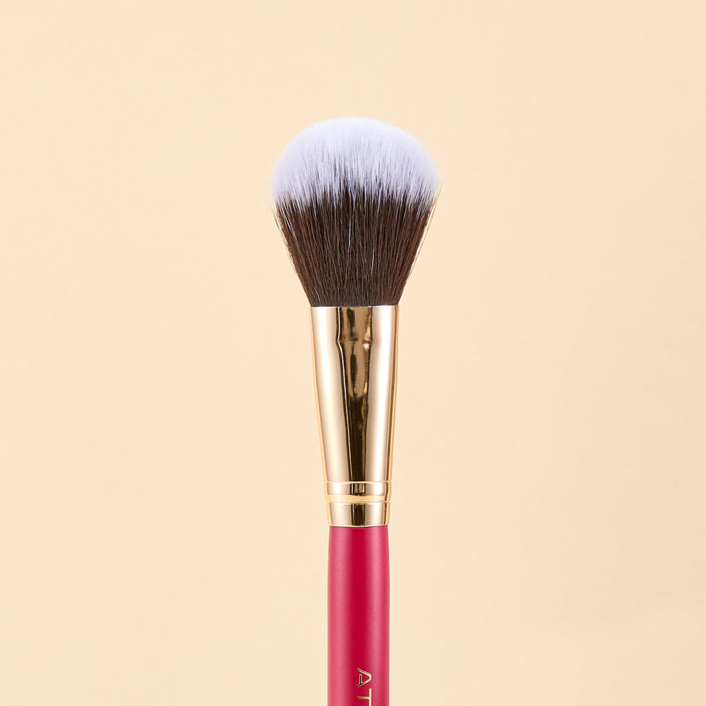 KIT DE BROCHAS SCARLET ROSTRO X9 PCS | ATENEA