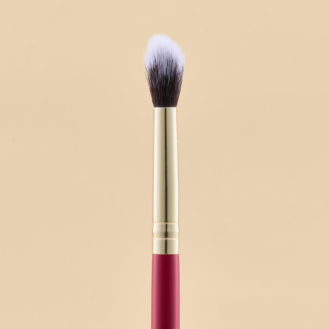 KIT DE BROCHAS SCARLET OJOS X21 PCS | ATENEA