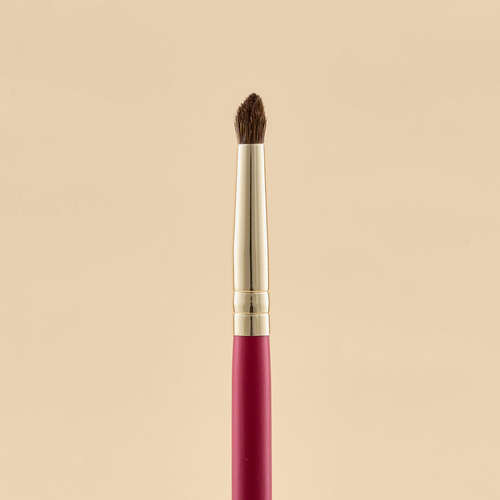 KIT DE BROCHAS SCARLET OJOS X21 PCS | ATENEA