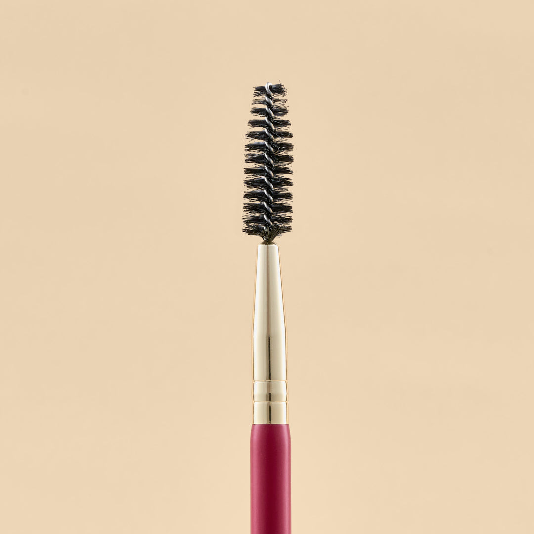 KIT DE BROCHAS SCARLET OJOS X21 PCS | ATENEA