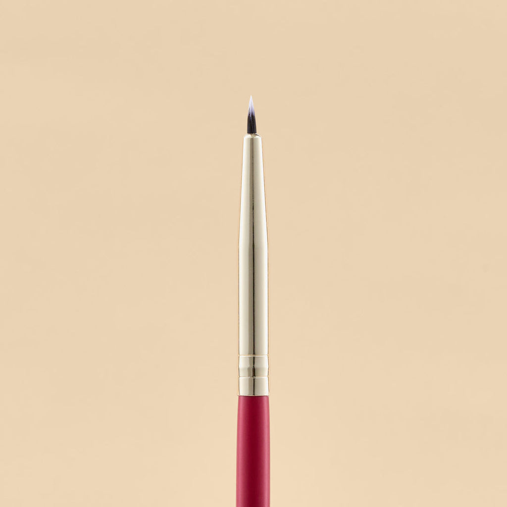 KIT DE BROCHAS SCARLET OJOS X21 PCS | ATENEA