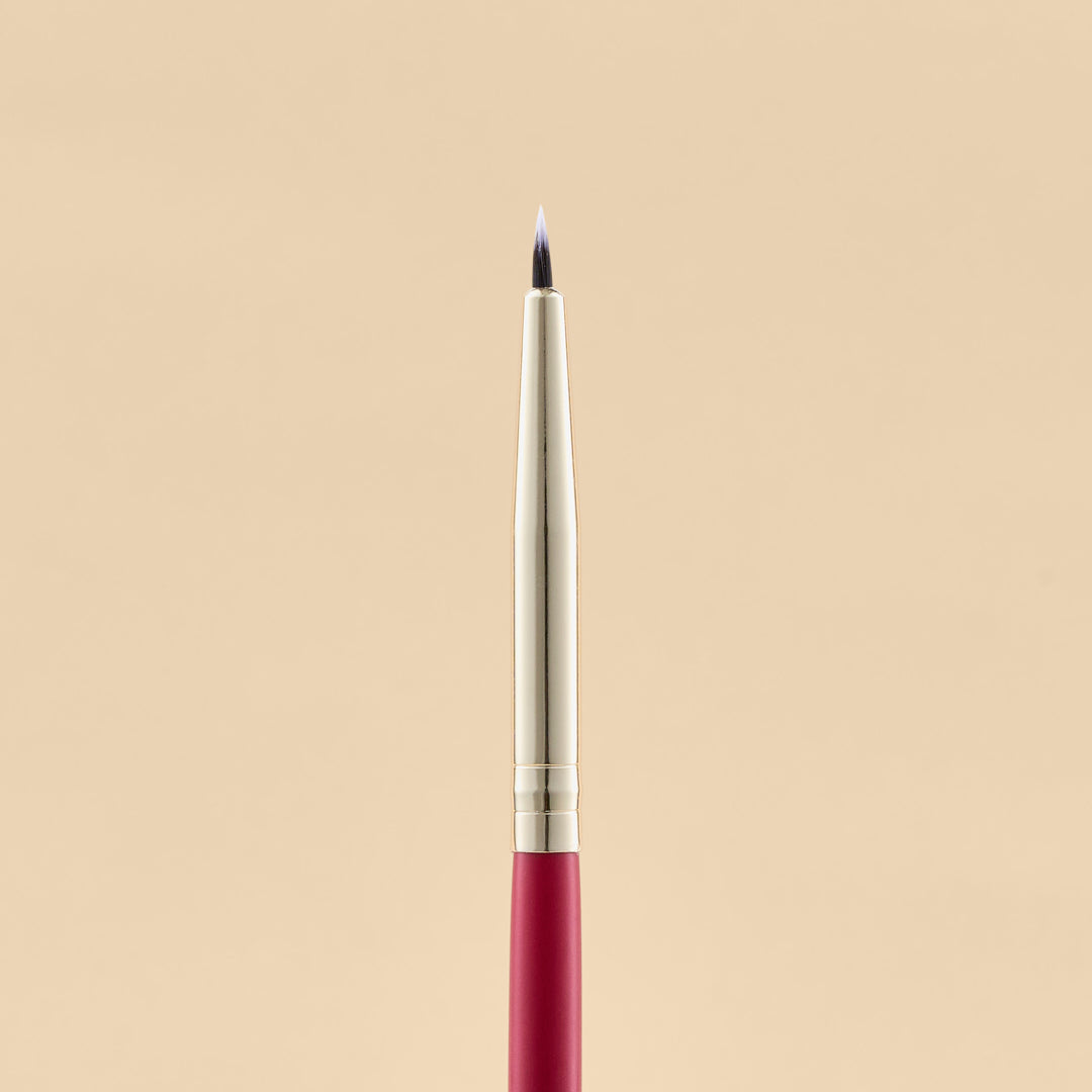 KIT DE BROCHAS SCARLET OJOS X21 PCS | ATENEA