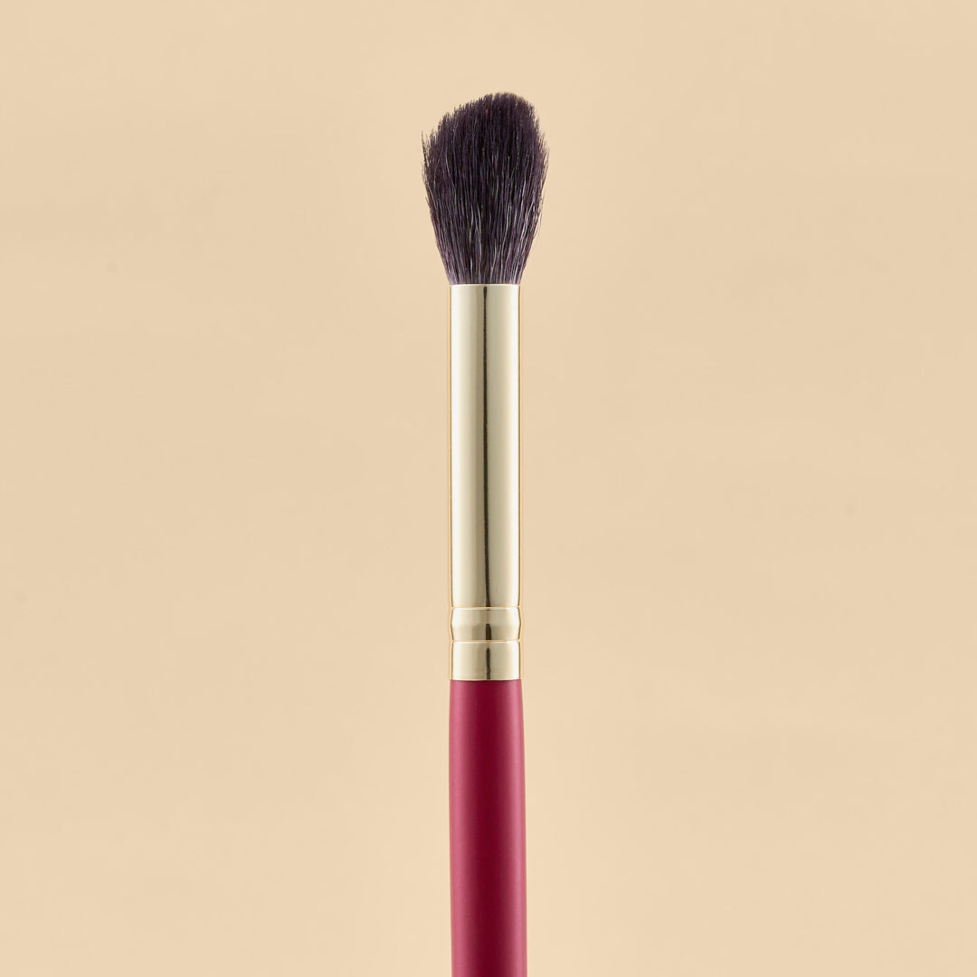 KIT DE BROCHAS SCARLET OJOS X21 PCS | ATENEA