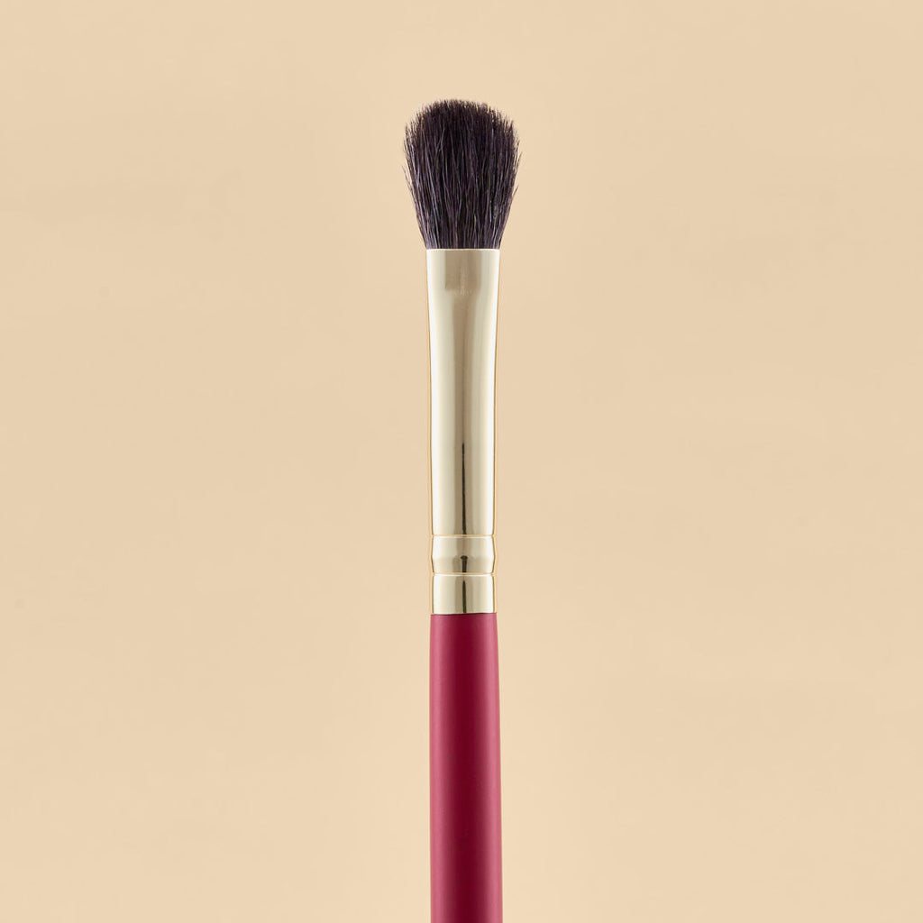 KIT DE BROCHAS SCARLET OJOS X21 PCS | ATENEA