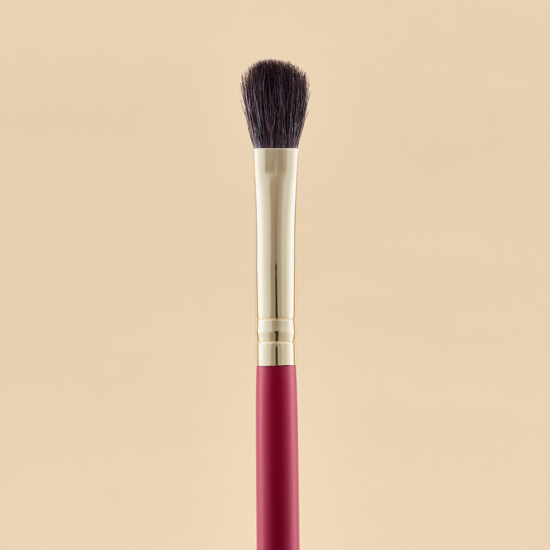 KIT DE BROCHAS SCARLET OJOS X21 PCS | ATENEA