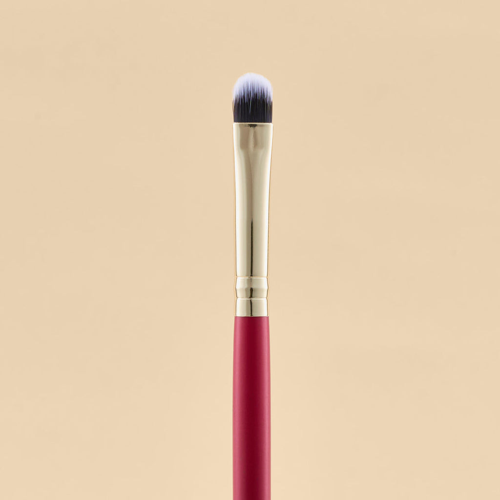 KIT DE BROCHAS SCARLET OJOS X21 PCS | ATENEA