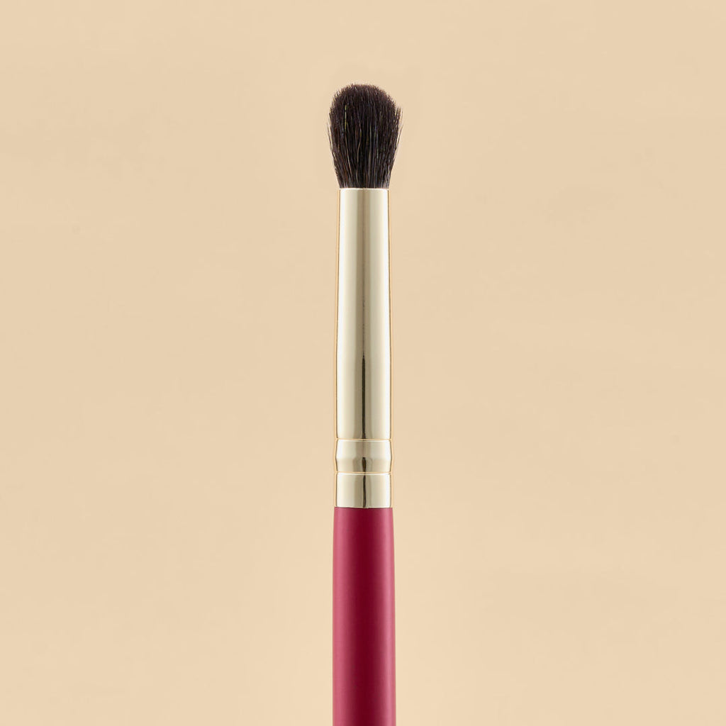 KIT DE BROCHAS SCARLET OJOS X21 PCS | ATENEA