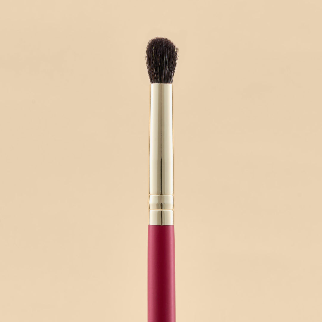 KIT DE BROCHAS SCARLET OJOS X21 PCS | ATENEA
