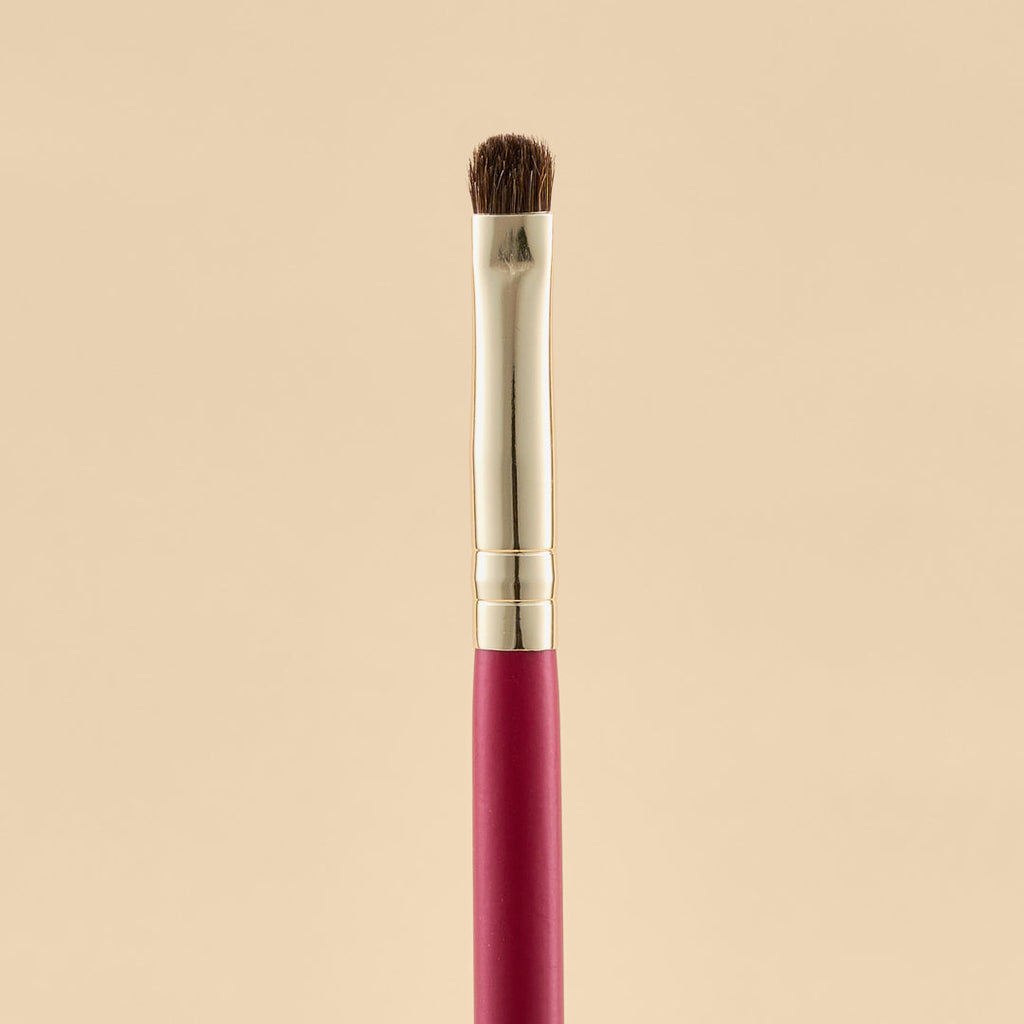 KIT DE BROCHAS SCARLET OJOS X21 PCS | ATENEA