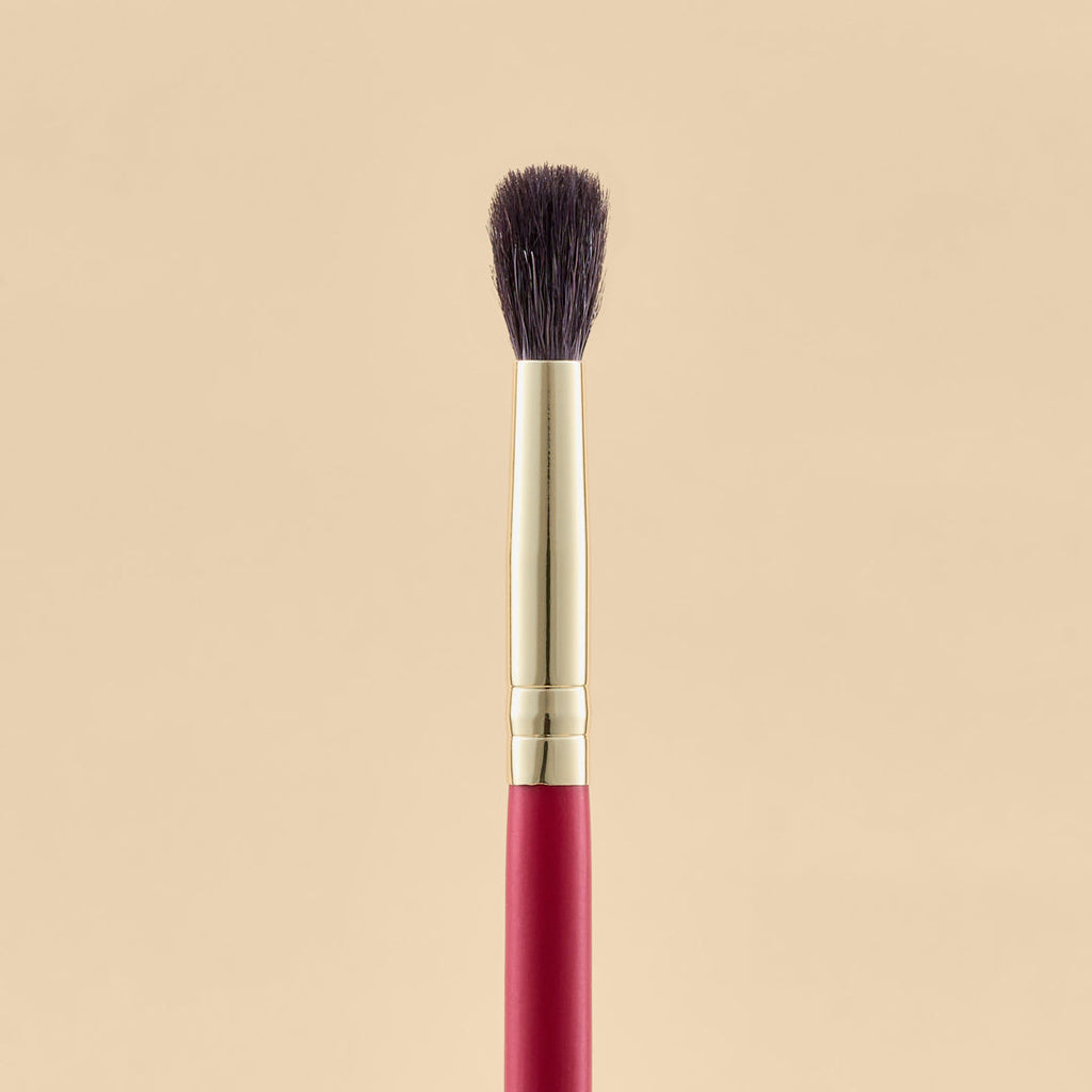 KIT DE BROCHAS SCARLET OJOS X21 PCS | ATENEA