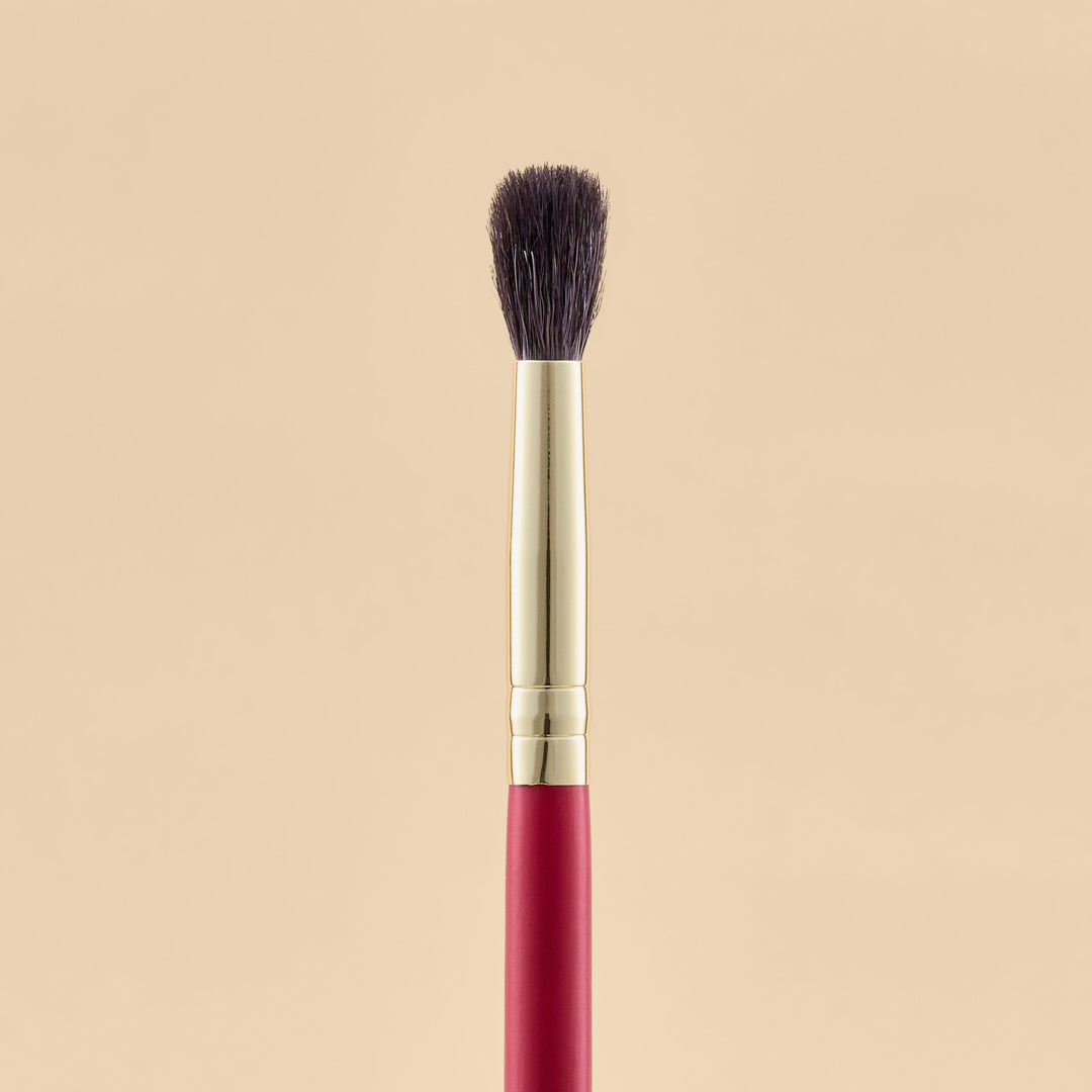 KIT DE BROCHAS SCARLET OJOS X21 PCS | ATENEA