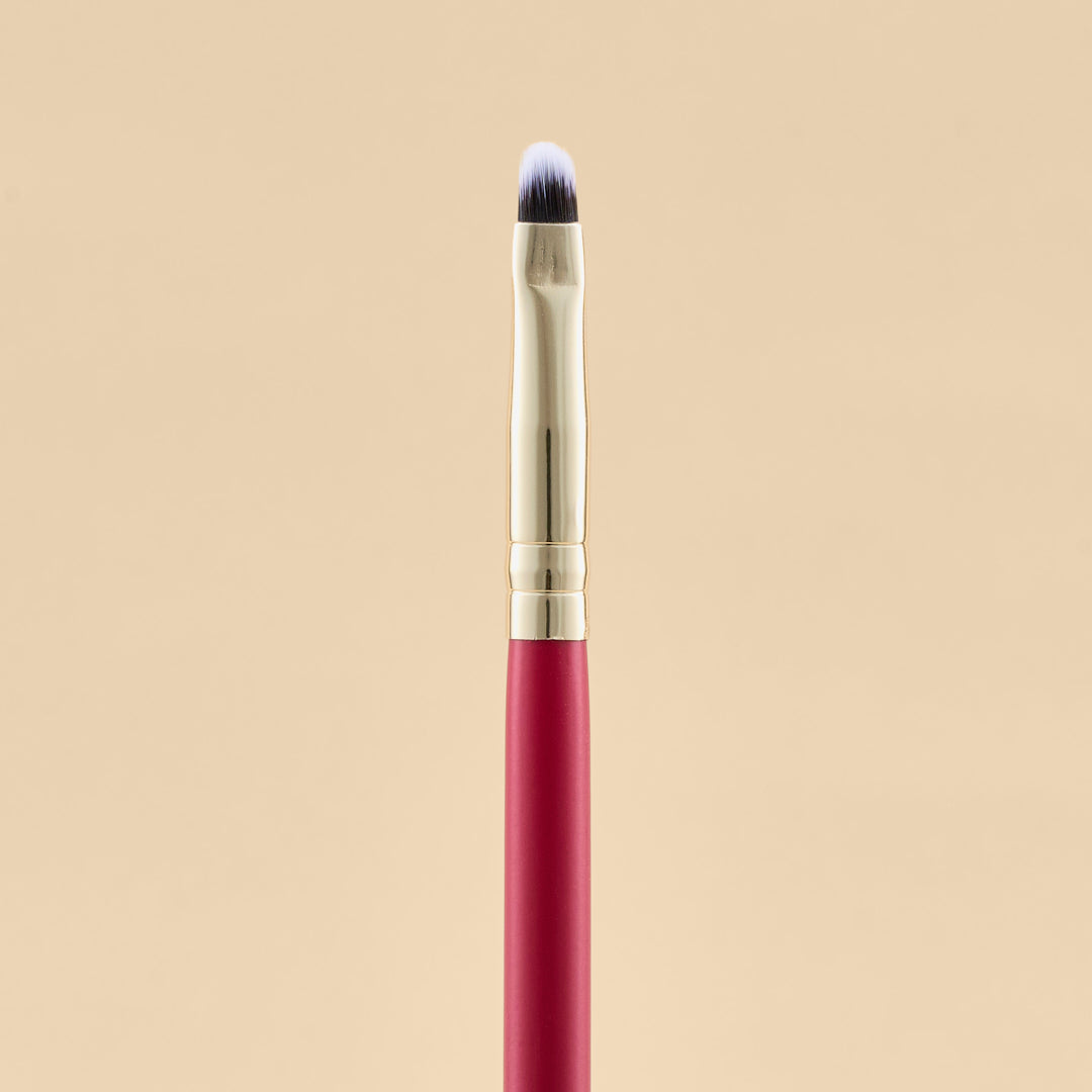 KIT DE BROCHAS SCARLET OJOS X21 PCS | ATENEA