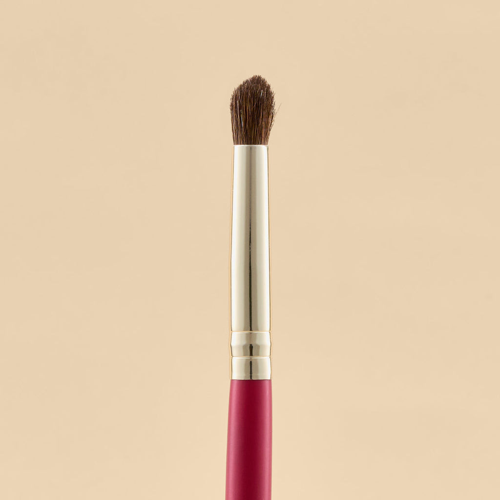 KIT DE BROCHAS SCARLET OJOS X21 PCS | ATENEA