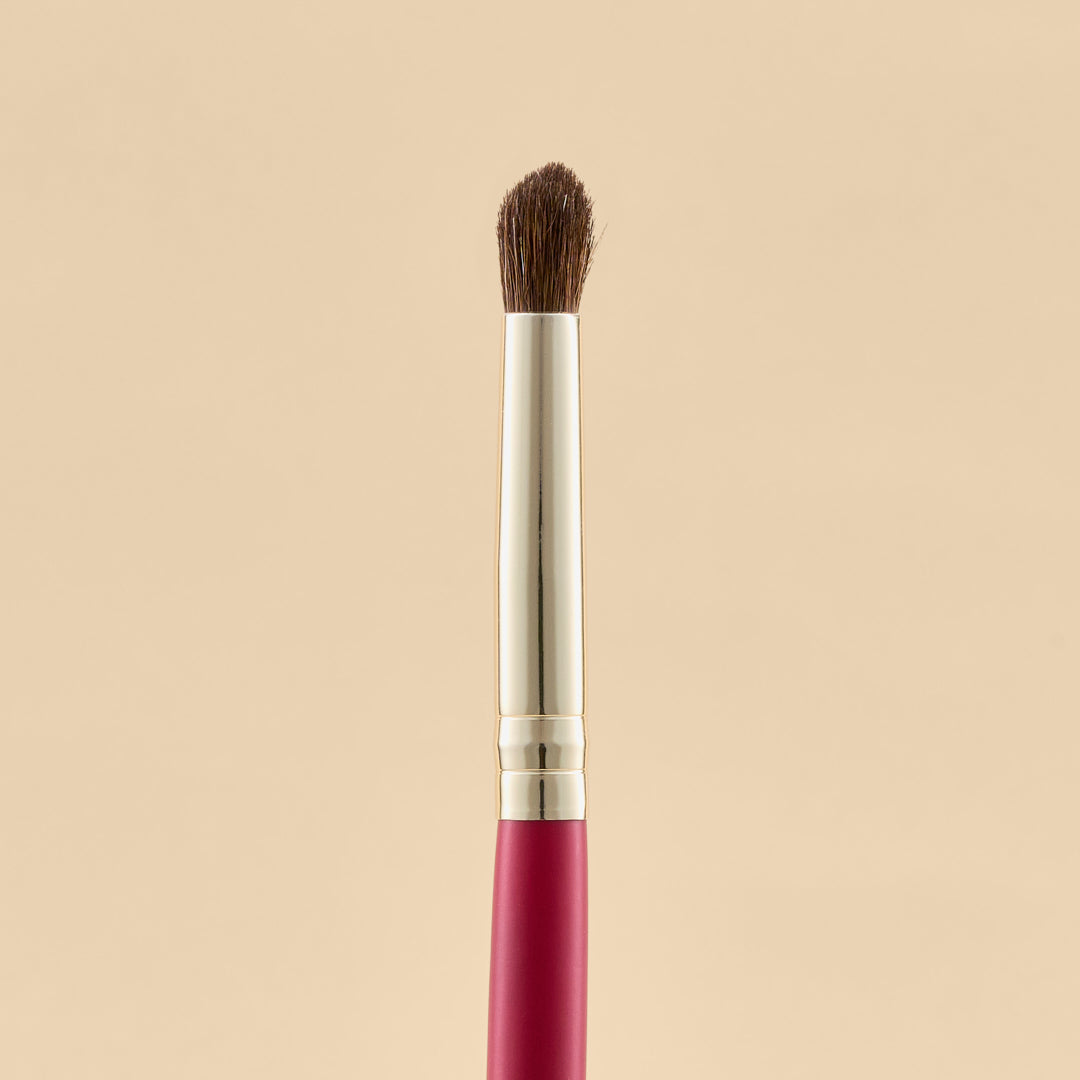 KIT DE BROCHAS SCARLET OJOS X21 PCS | ATENEA