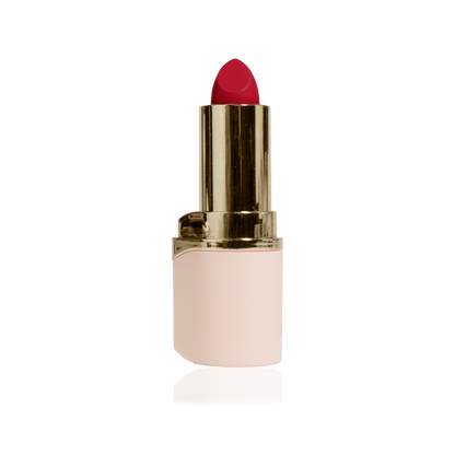 Audacious lipstick DISPLAY | DAPOP