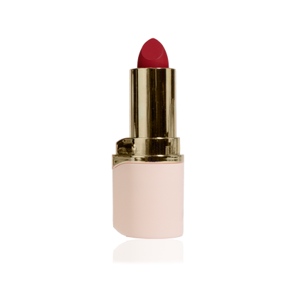 Audacious lipstick DISPLAY | DAPOP