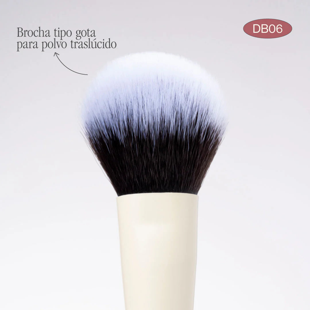 BROCHA DUO ILUMINADOR Y POLVO SUELTO | ATENEA