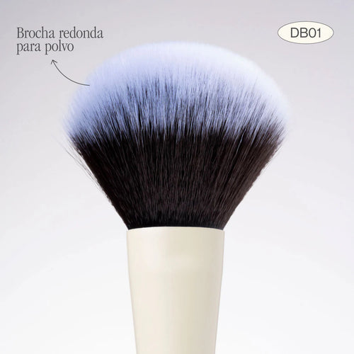 BROCHA DUO POLVO Y RUBOR | ATENEA