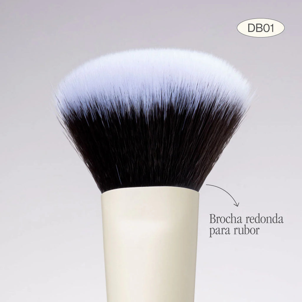 BROCHA DUO POLVO Y RUBOR | ATENEA