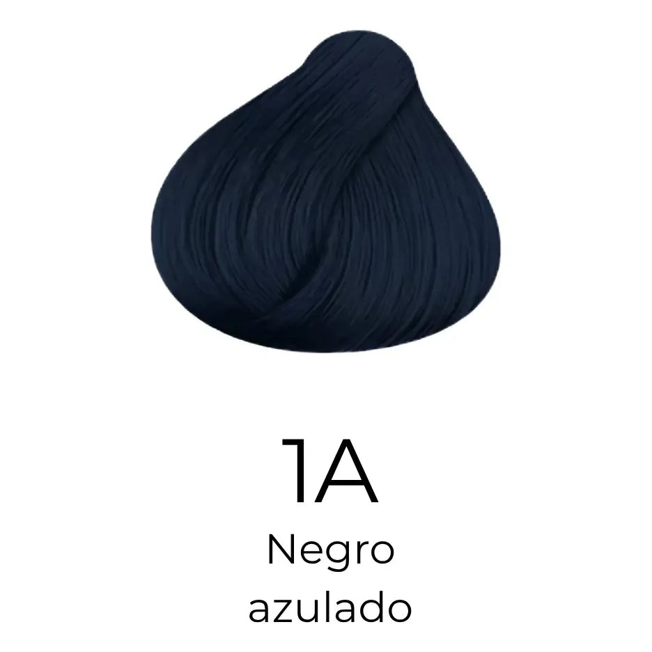 TINTE - AYVANNA REVER
