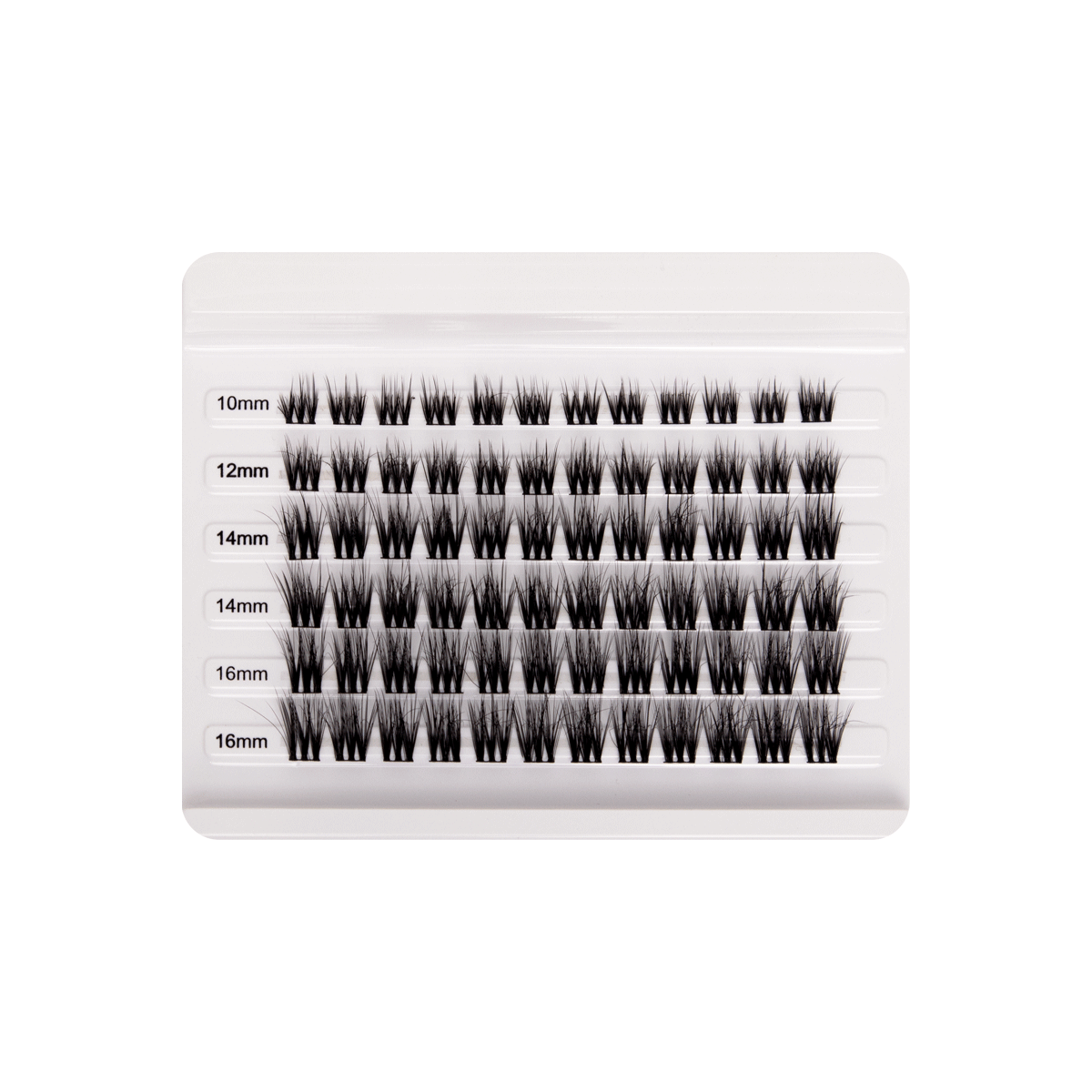 Cluster Collection | True Lashes