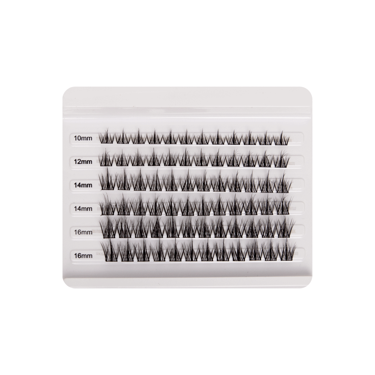Cluster Collection | True Lashes