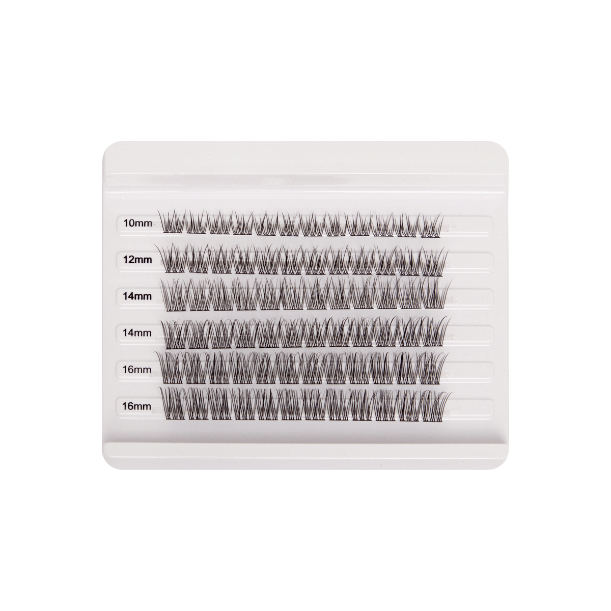 Cluster Collection | True Lashes