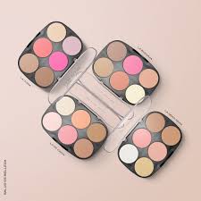 PALETA PARA ROSTRO - BISSU